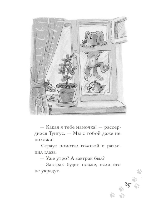 Школьный бутерброд кота Страуса