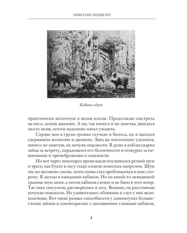 Охотничьи пути и были