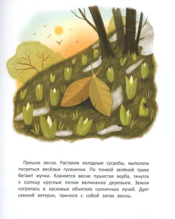 Мышка и шмель: сказка о дружбе