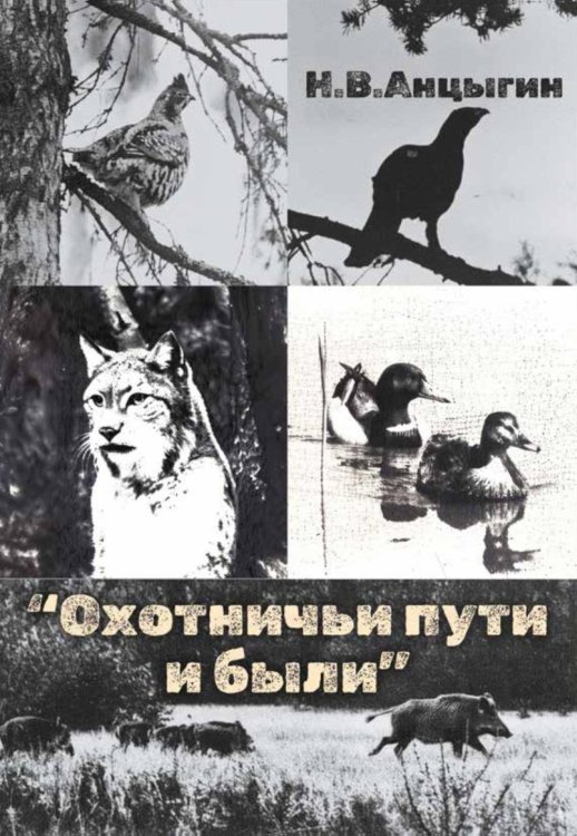Охотничьи пути и были
