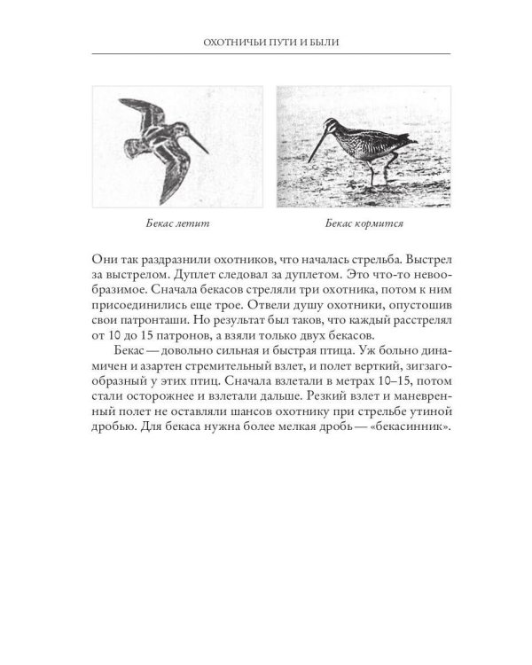 Охотничьи пути и были