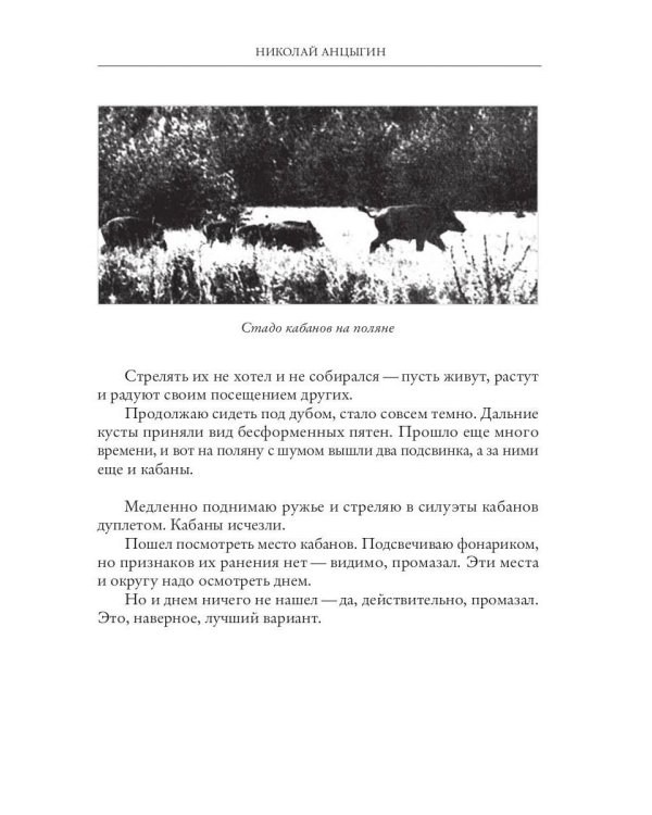 Охотничьи пути и были