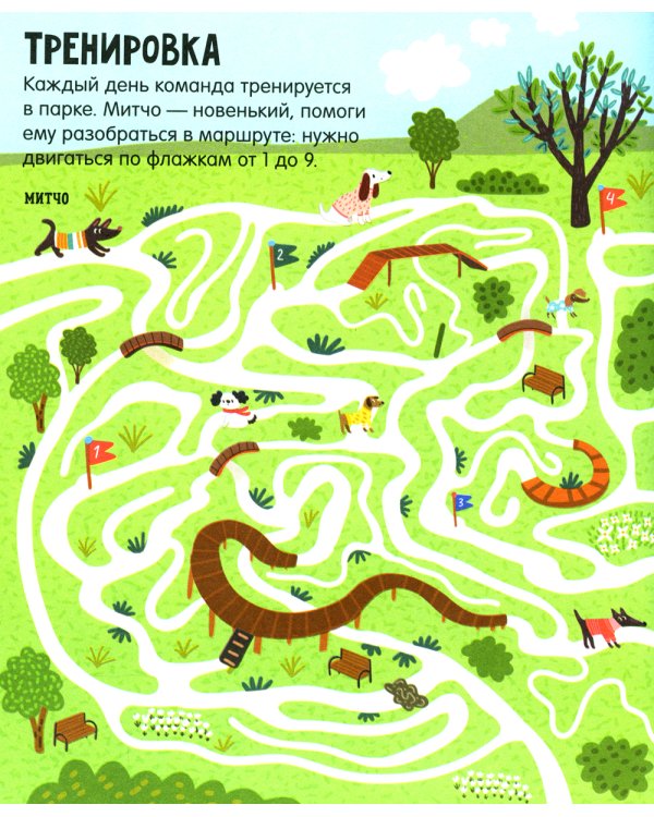 Лабиринты про собак