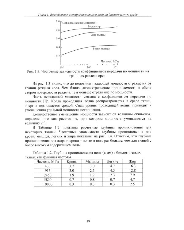 Расчет тепловых полей под воздействием СВЧ излучения
