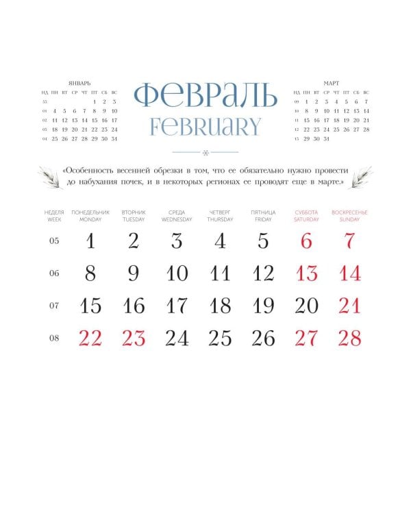 Дополнительное изображение книги «Сад, огород и дом. Настенный календарь на 2027 год»