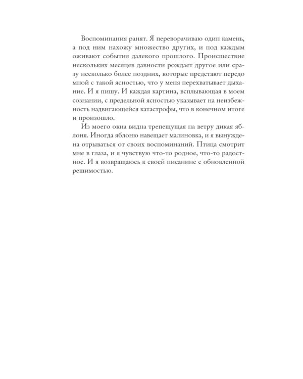 Дополнительное изображение книги «Только сегодня»