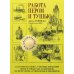 Работа пером и тушью