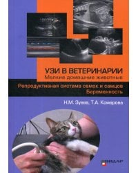 УЗИ в ветеринарии. Мелкие домашние животные. Репродуктивная система самок и самцов. Беременность