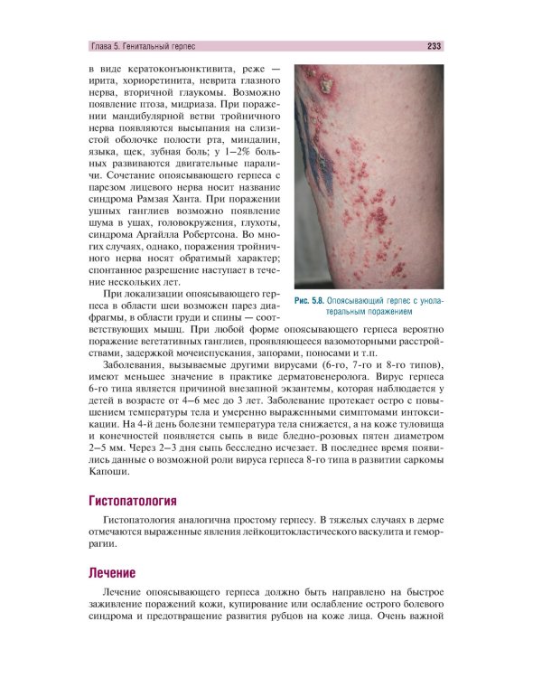 Венерические болезни и дерматозы аногенитальной области: иллюстрированное руководство для врачей