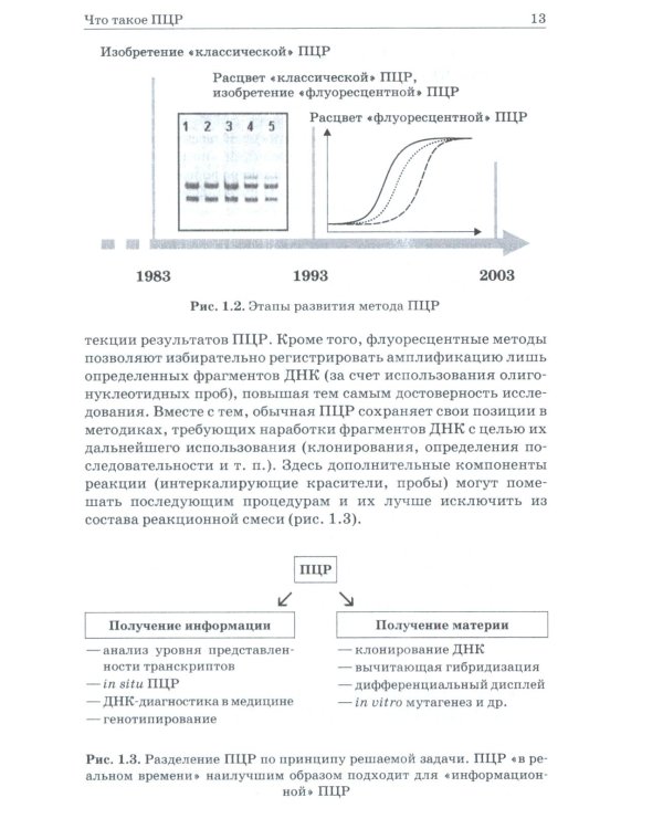 ПЦР в реальном времени. 14-е изд