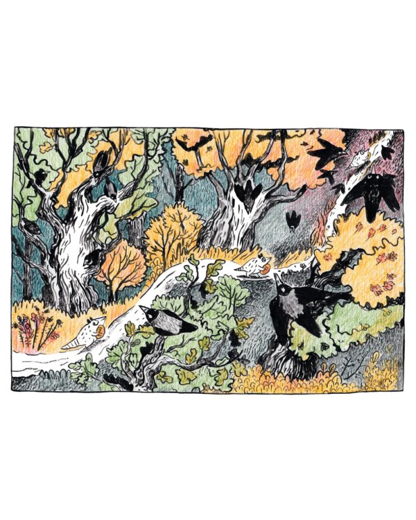 Ивовый Лес: комикс