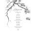 Дополнительное изображение книги «Замки моего сердца»
