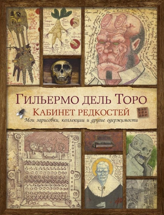 Кабинет редкостей: Мои зарисовки, коллекции и другие одержимости