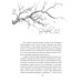 Дополнительное изображение книги «Замки моего сердца»