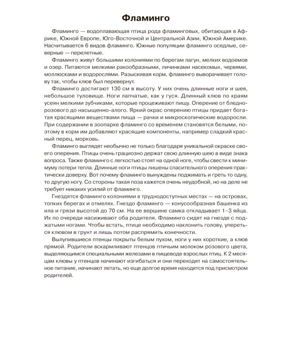 Птицы жарких стран: Наглядно-дидактическое пособие