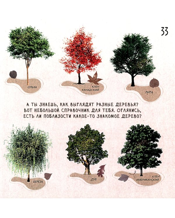 Воды Басмании. Детский путеводитель по Москве. Кн. 1. Басманный район