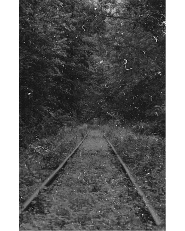 Повреждения от прекрасного: повесть, рассказы