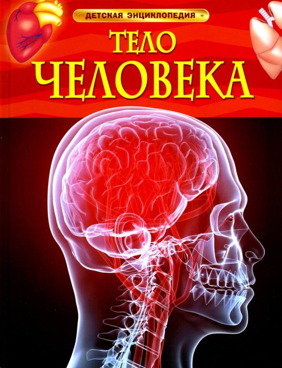 Детская энциклопедия Тело человека. Детская энциклопедия