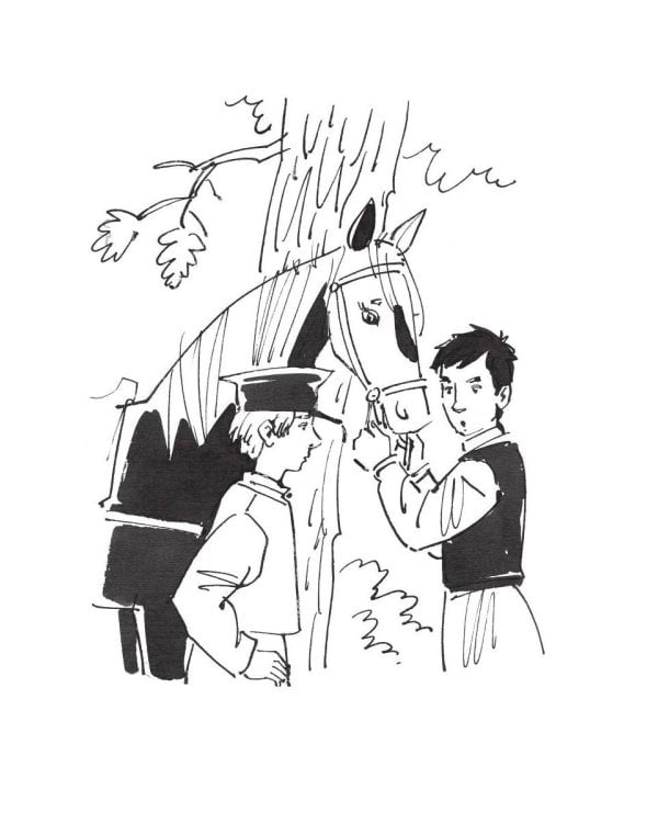 Новейшие приключения Петрова и Васечкина в горах Кавказа