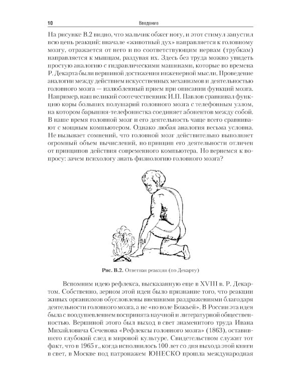 Нейрофизиология: Учебник