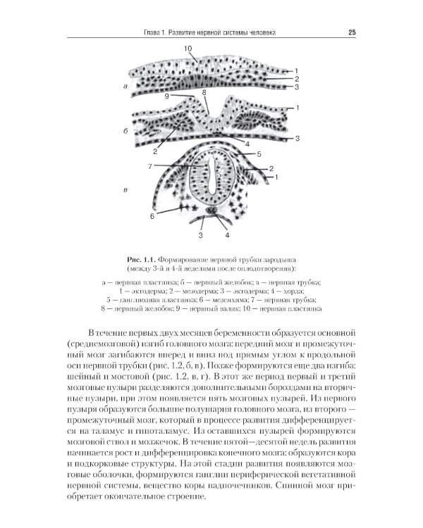 Нейрофизиология: Учебник