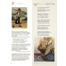 Дополнительное изображение книги «Стихотворения с иллюстрациями и комментариями»