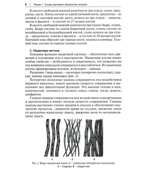 Основы первой помощи. Курс лекций