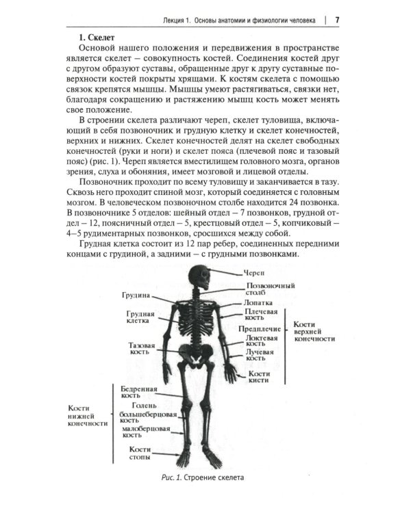 Основы первой помощи. Курс лекций