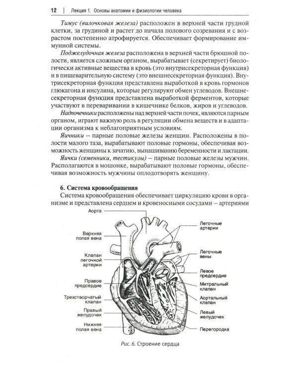 Основы первой помощи. Курс лекций