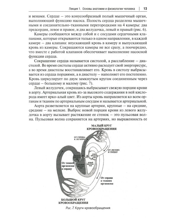 Основы первой помощи. Курс лекций