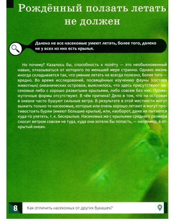 Насекомые: энциклопедия
