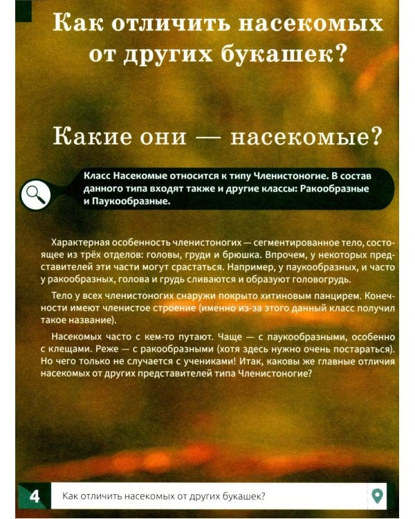 Насекомые: энциклопедия