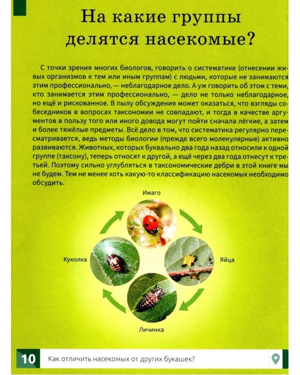 Насекомые: энциклопедия