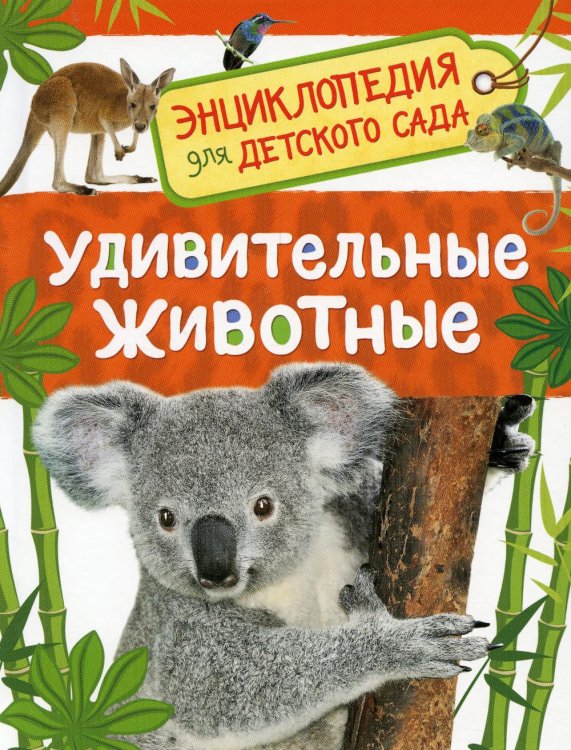 Удивительные животные