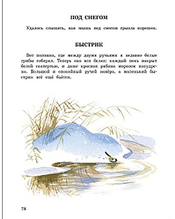 Беличья память: рассказы о природе