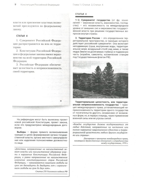 Подробный иллюстрированный комментарий к Конституции РФ