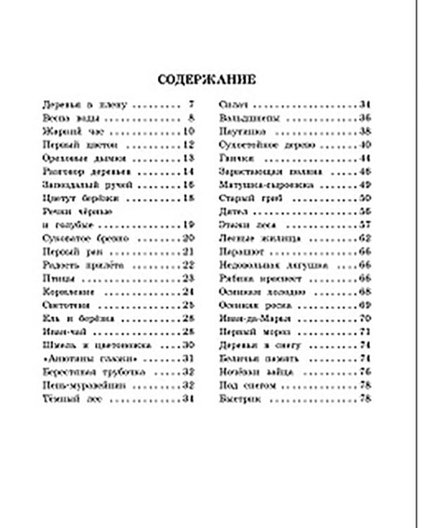 Беличья память: рассказы о природе