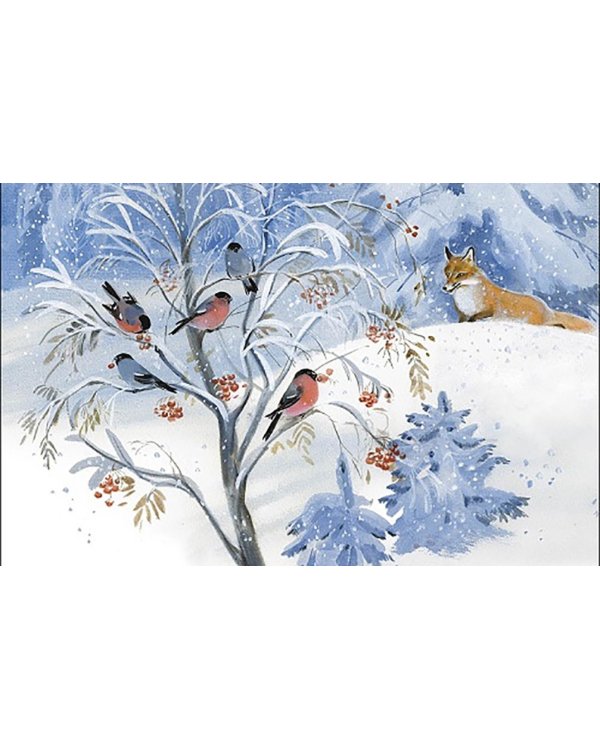 Беличья память: рассказы о природе