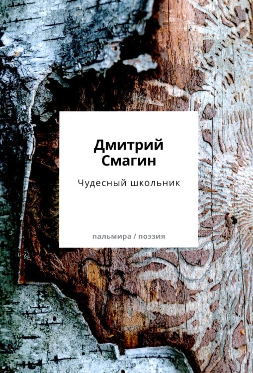 Пальмира - поэзия Чудесный школьник: сборник стихотворений