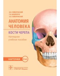 Анатомия человека. Кости черепа. Карточки + кольцо для стяжки карточек: наглядное учебное пособие