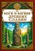 Обложка книги «Боги и богини древних славян» — None, ISBN 9785002286355