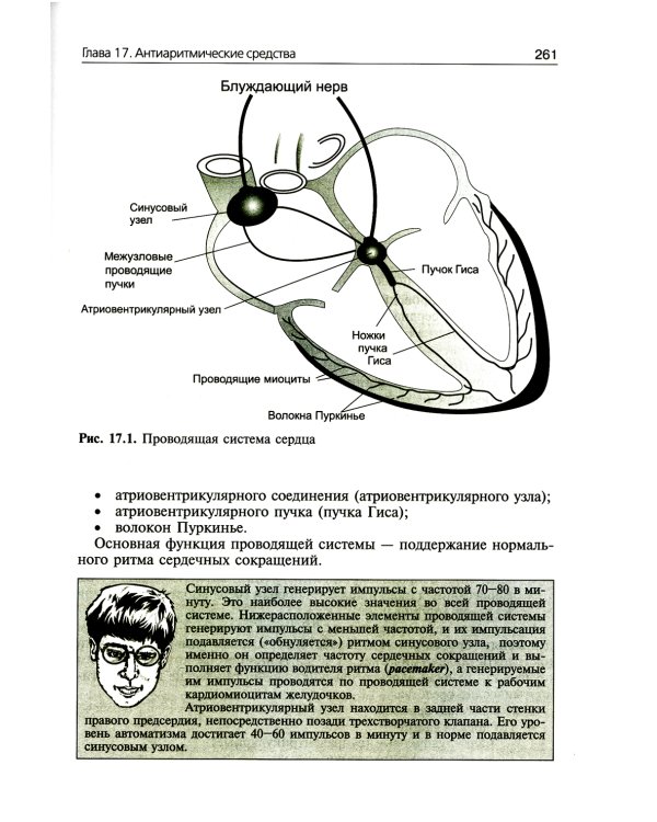 Фармакология. Ultra light: Учебное пособие. 2-е изд., испр. и доп