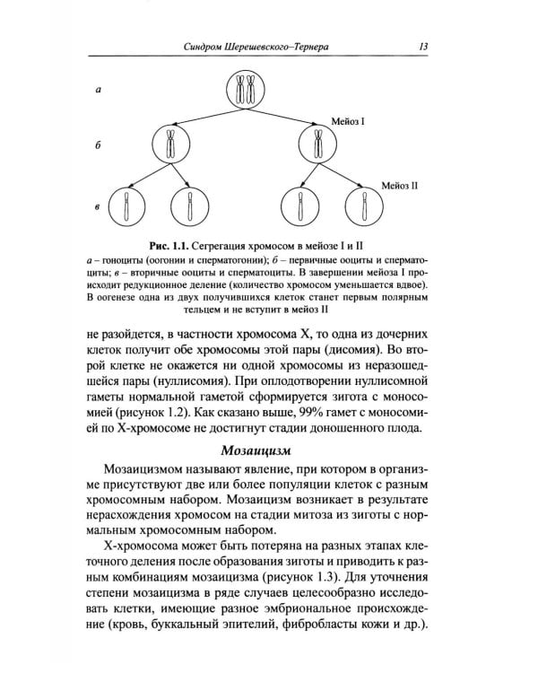 Синдромальные формы задержки роста: клиника, диагностика, лечение: монография