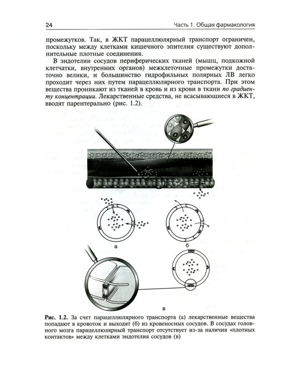 Фармакология. Ultra light: Учебное пособие. 2-е изд., испр. и доп