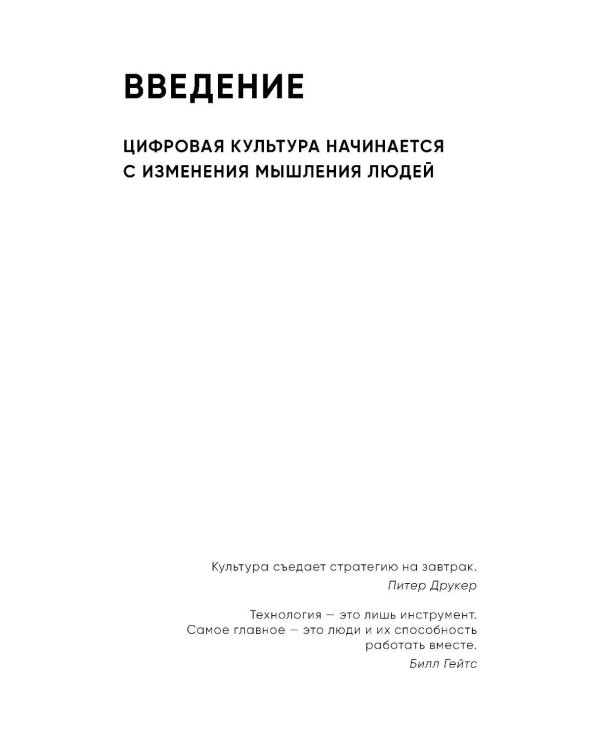 Дополнительное изображение книги «Цифровая культура бизнеса. Как развивать компанию и команду в эпоху ИИ: система принципов, практик и инструментов»