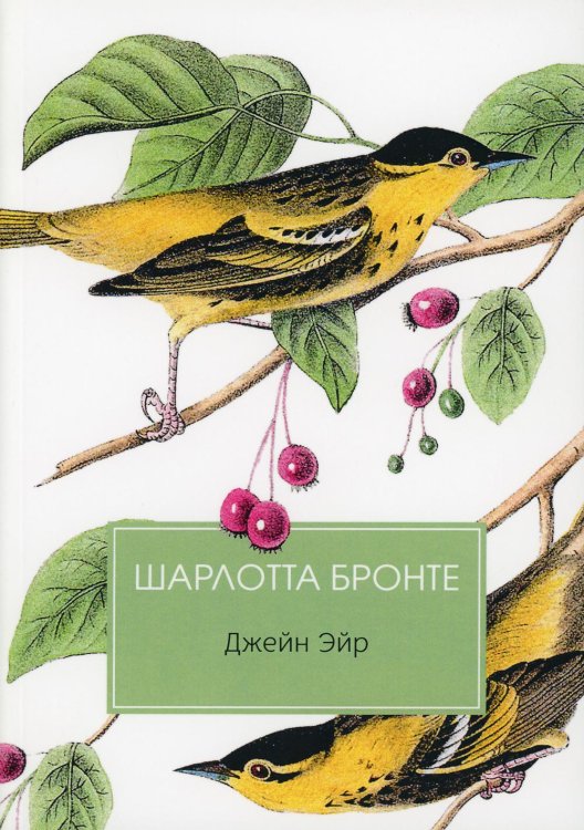 Джейн Эйр: роман