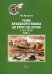 Учебник арабского языка для второго года обучения. В 3 ч. Ч. 2