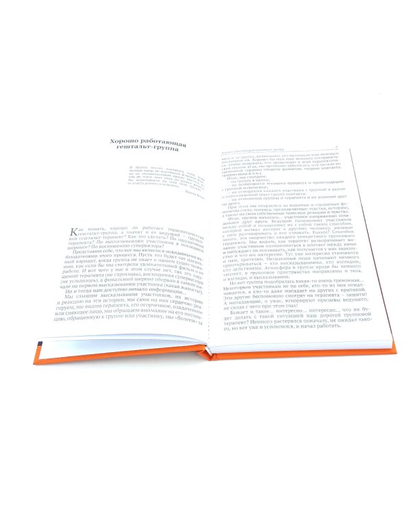 Руководство по обучению гештальт-терапевтов; Теория и практика групповой гештальт-терапии (комплект из 2-х книг)
