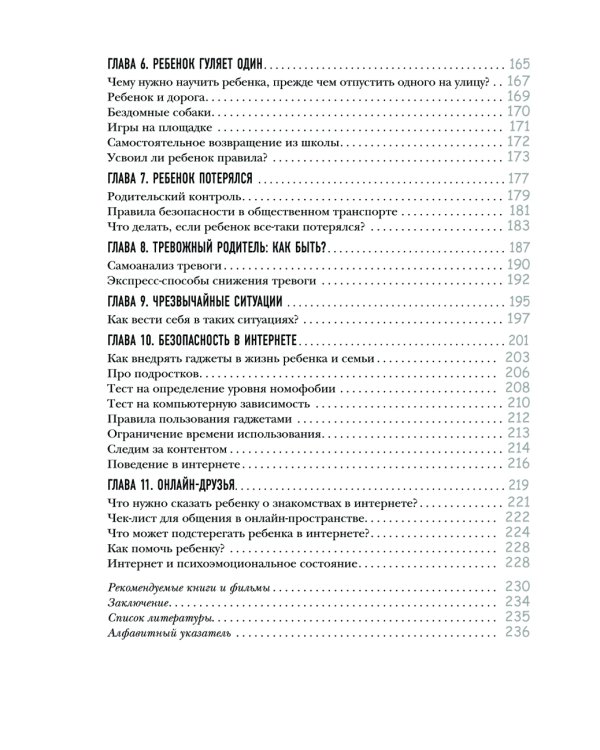 Безопасность ребенка: основы поведения дома, на улице и в интернете