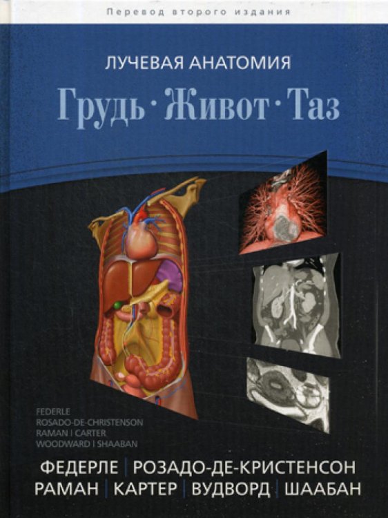 Лучевая анатомия. Грудь, живот, таз Лучевая анатомия. Грудь, живот, таз
